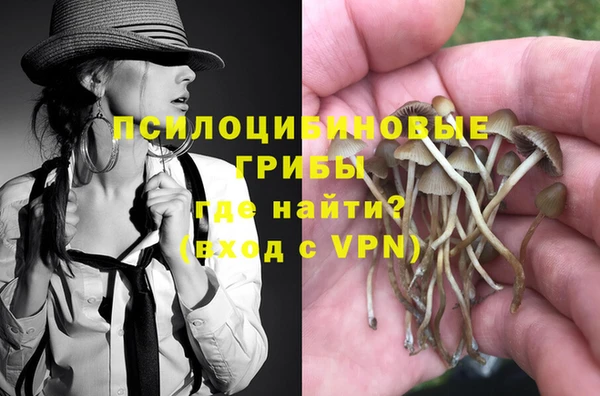 шишки Бугульма