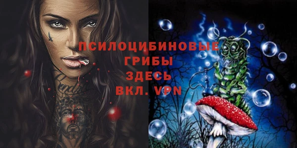 герыч Бородино