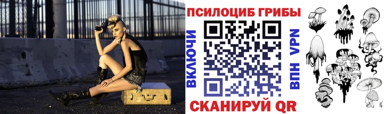 Псилоцибиновые грибы MAGIC MUSHROOMS цена Кочубеевское
